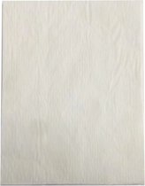 Wit grafietpapier - Carbonpapier - Overtrekpapier witte inkt - A4 - 21x29,7cm - 5 stuks