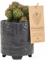 Plantophile - plant met pot - facepot zwart met cactus - medium