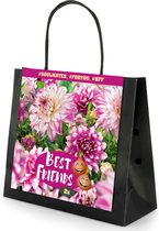 2x Dahlia "Soulmates" - Best Friends Bag - Dahlia bollen - Paars-witte bloemen - Bloeiende vaste planten - Bollen meerjarig winterhard