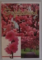Van harte gefeliciteed met je verjaardag! Een kleurrijke kaart met mooie bloemen in de boom boven een wandelpad. Een leuk pad om te bewandelen. Een dubbele wenskaart inclusief envelop en in folie verpakt.