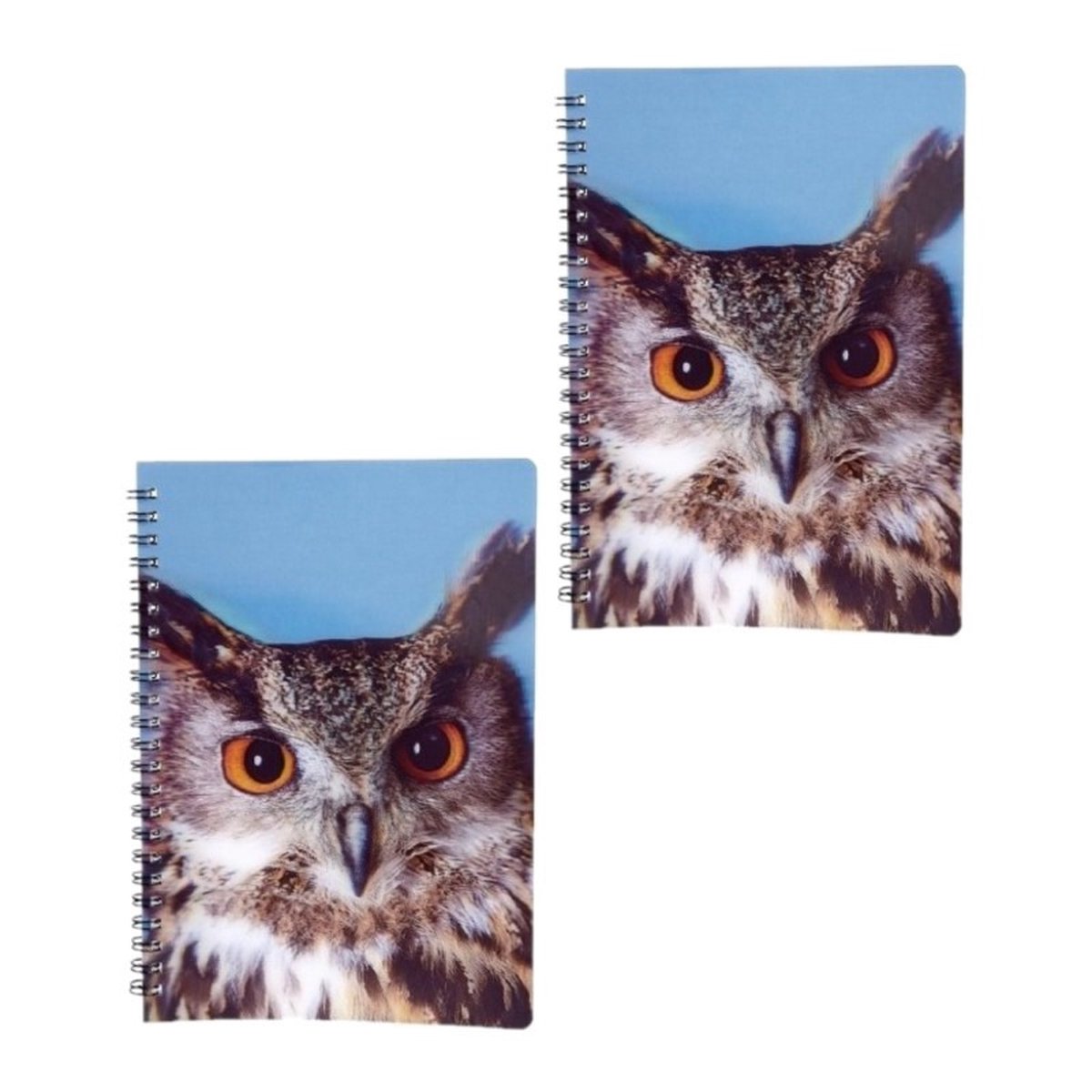 3x stuks uilen vogels thema schrift notitieboekje 3D 21cm - Opschrijfboekjes/school schriften