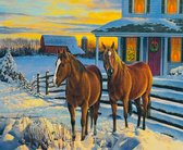 Diamond Painting Volwassenen - Diamond Painting Kinderen - Paarden - Sneeuw - 40x50cm