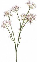 zijdebloemen Allium spider spray 71 cm lila