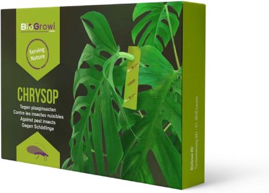 Chrysop 20 kaartjes | tegen spint trips bladluis en wolluis op kamerplanten | Biogrowi