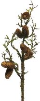 kunstplant Natural Pine Cone 72 cm zijde bruin