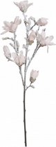 winterboeket magnolia's 100 cm bruin/roze