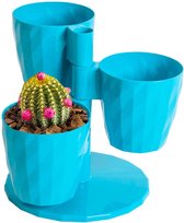 3in1 bloempotten turkoois en kruidenpotten turquoise blauwe cactuspotten
