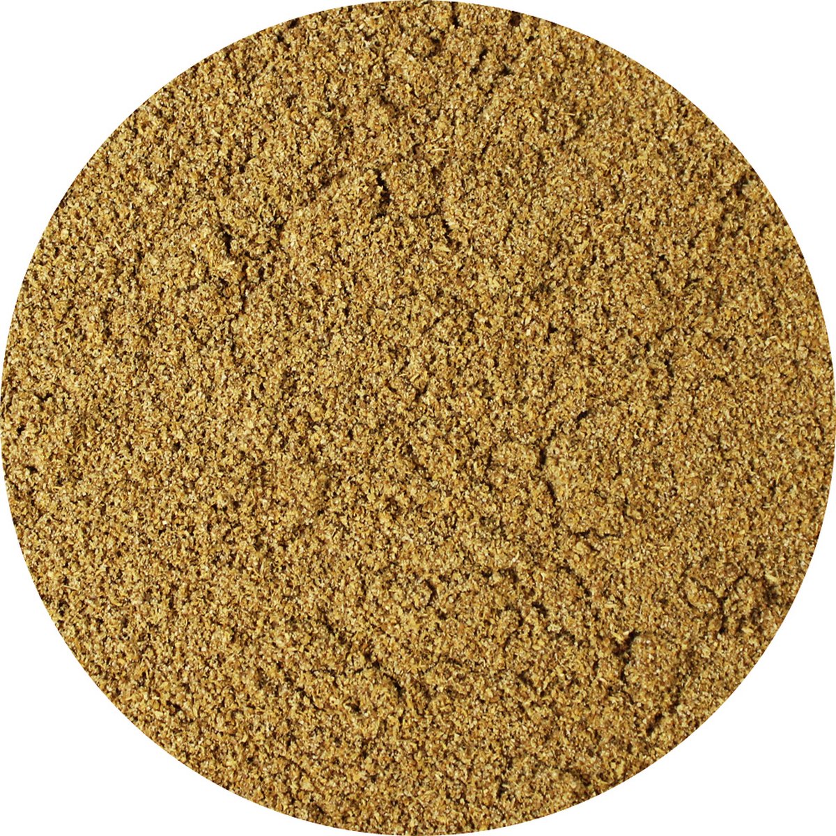 Goedkoopste Van Beekum Specerijen - Koriander Gemalen - 15 KG - Zak (bulk verpakking