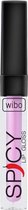 Wibo Lip Gloss Spicy #19