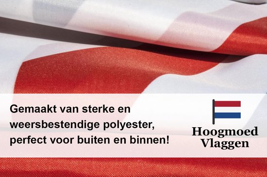 Vlag van het gastland Denemarken