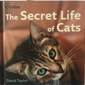The Secret Life Of Cats