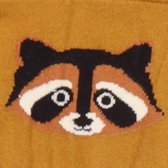 Curious Raccoons Maillots Leggings | Maillots Bio-Kinderkleding