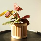 QOME Kyara - bloempot - plantenpot - designer - eikenhout - 15cm