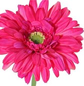 Zijden-bloemen- Gerbera- fuchsia-top kwaliteit 2 stuks