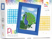 Pixel hobby geschenkverpakking - Pauw
