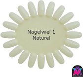AVN - 10 x 20 Nagellak Kleuren Waaier - Nagelwiel - Nail Display Palet - Naturel