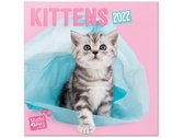 wandkalender 2022 Kittens 30 x 30 cm papier roze