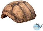 CeramicNature Cave Turtle - Taille: Moyenne