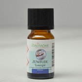 Huile essentielle de parfum Zenitude 10 ml - huile de parfum pour diffuseur d'arôme - diffuseur d'air - nébuliseur d'air - atomiseur d'air - désodorisant - arôme