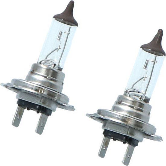 Twee H7 halogeenlampen met metalen voet en glazen behuizing, geïsoleerd op een witte achtergrond.