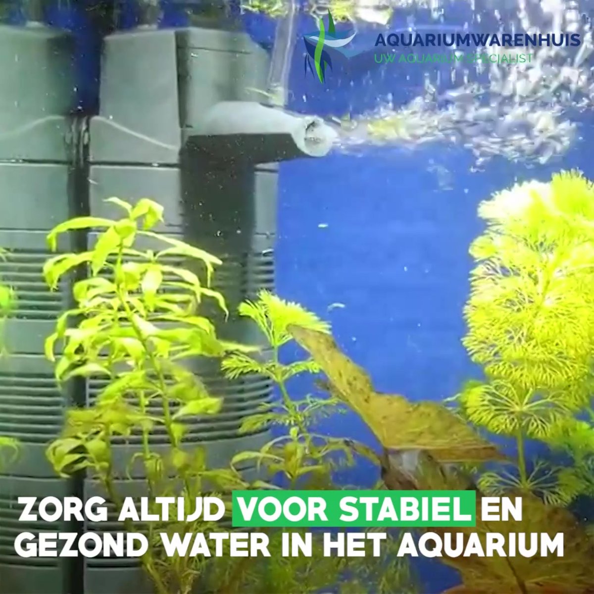 filtration intérieure pour aquarium : Eheim Biopower