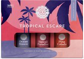 Woolzies Tropical Escape Essential Oil Blends Set of 3 | 100% Pure, Natural & Undiluted Incl. Hawaii Paradise, Pina Colada & Ocean Breeze 10 ML