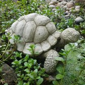 Betonnen tuinbeeld - grote schildpad