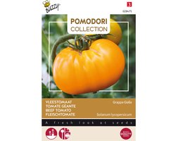 Buzzy  Pomodori grappa Gialla