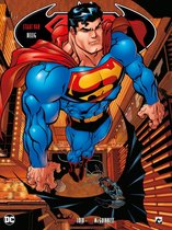 Superman/Batman 3: Staat van beleg 1