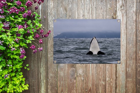 Poster Jardin orque au-dessus de l'eau 60x40 cm - petit - Toile de jardin / Toile d'extérieur / Peintures pour l'extérieur (décoration de jardin)