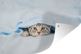 Muurdecoratie Een kitten onder een deken - 180x120 cm - Tuinposter - Tuindoek - Buitenposter