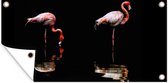 Tuinposter Twee flamingo's staan in het water - 80x40 cm - Wanddecoratie Buiten - Tuinposter - Tuindoek - Schuttingposter - Tuinschilderij