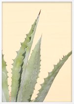 Poster Met Witte Lijst - Abstracte Cactus Poster