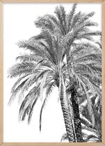 Poster Met Eiken Lijst - Oman de Palm Poster