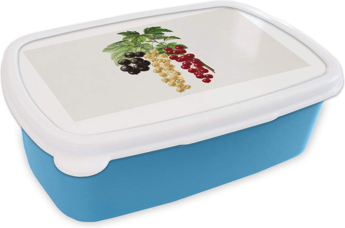 Broodtrommel Blauw - Lunchbox - Brooddoos - Eten - Bessen - Fruit - 18x12x6 cm - Kinderen - Jongen