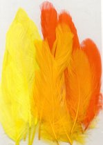 Vaessen Creative Feathers long - 15,5-20cm - 15stuks - eaSter