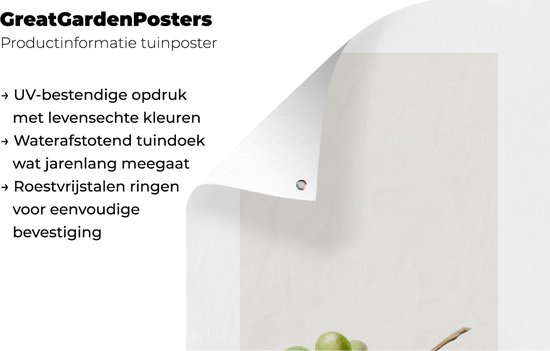 Poster de jardin Raisins - Fruits - Nourriture - 30x60 cm - Toile de jardin - Poster extérieur