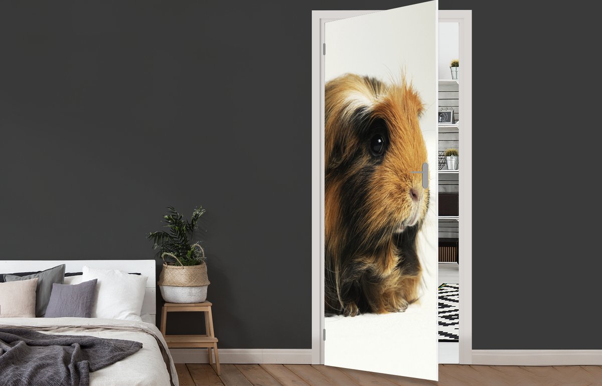 Afbeelding van product StickerSnake  Deursticker Zwart en wit cavia - 80x215 cm - Deurposter