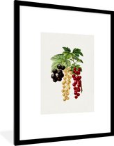 Fotolijst incl. Poster - Druiven - Bladeren - Eten - 60x80 cm - Posterlijst