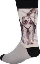 Sock My Feet Huskies Heren HW18M004