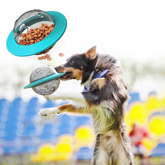 Een hond in de lucht die een blauwe UFO-speelgoedbal in zijn bek heeft, met op de achtergrond een voetbalveld.