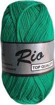 Lammy yarns Rio katoen garen - groen (370) - naald 3 a 3,5mm - 10 bollen