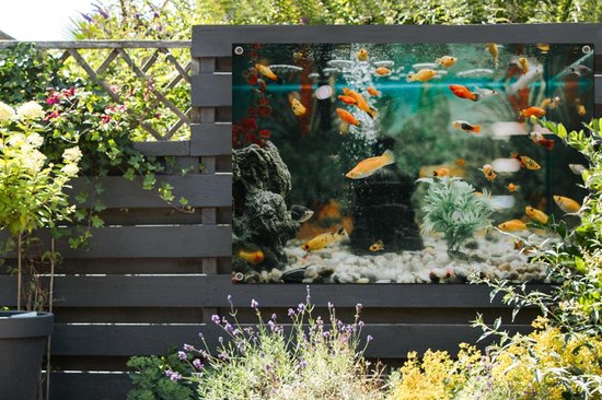 Muurdecoratie Kleine visjes in een aquarium - 180x120 cm Tuinposter | bol.com