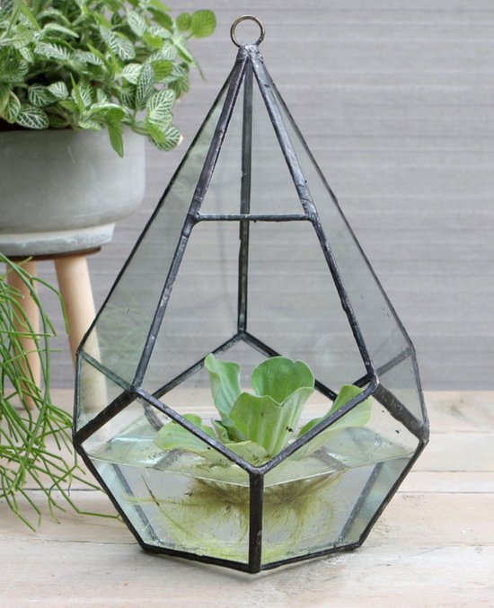 Vase en Verres - Terrarium Diamond - Suspendu - pour Fleurs & Plantes - Ø16  h.24 | bol