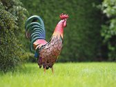 Tuinbeeld - Haan - 47 cm hoog
