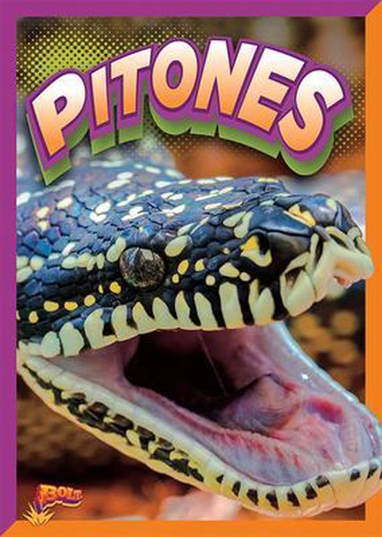 Pitones, Gail Terp 9781644664681 Boeken