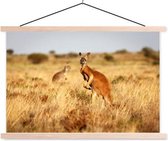 Sweet Living Poster - Kangoeroe In Het Gras - 0 X 0 Cm - Multicolor