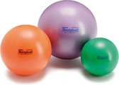 Fantyballen Set van 3 stuks |15-18-24 cm | Oefenbal | Luchtgevulde ballen