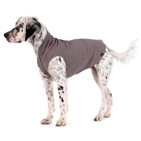 Queenmore Hondenjas van zachte fleece, warme winterkleding met riemgat, teckeltrui voor kleine honden, katten, jongen of meisje (rood, XS Queenmore Hondenjas van zachte fleece, warme winterkleding met riemgat, teckeltrui voor kleine honden, katten, jongen of meisje (rood, XS