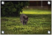 Tuinposter –Kat in het Grasveld– 60x40 Foto op Tuinposter (wanddecoratie voor buiten en binnen)